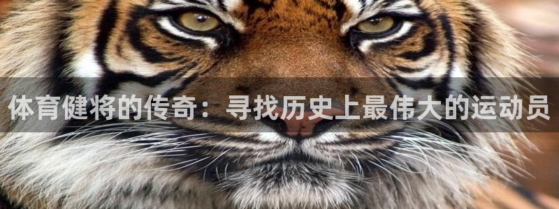 熊猫体育直播nba：体育健将的传奇：寻找历史上最伟大的运动员