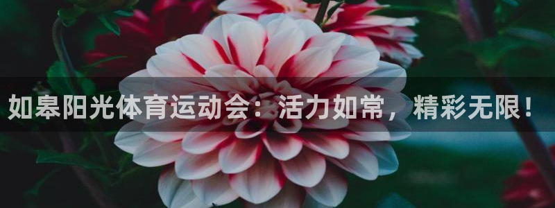 熊猫体育在线：如皋阳光体育运动会：活力如常，精彩无限！