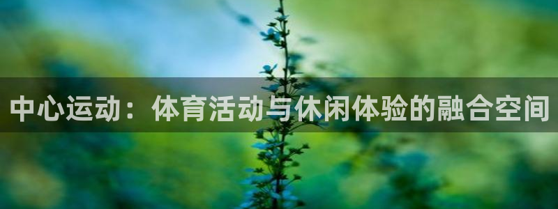 熊猫体育sports：中心运动：体育活动与休闲体验的融合空间