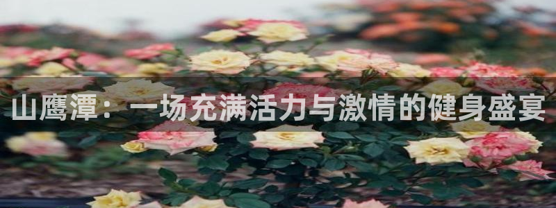 熊猫体育sports：山鹰潭：一场充满活力与激情的健身盛宴