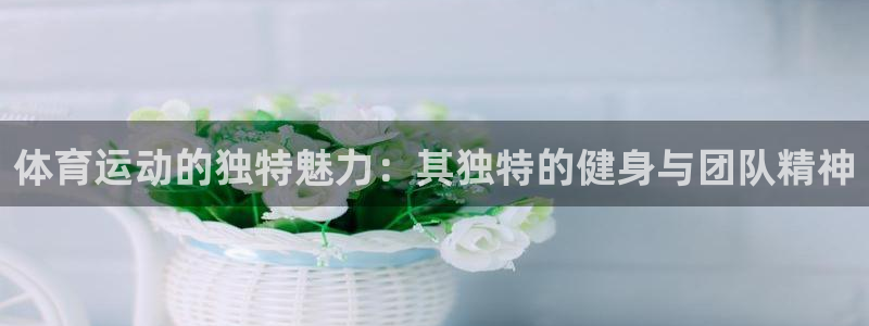 熊猫体育怎么样：体育运动的独特魅力：其独特的健身与团队精神