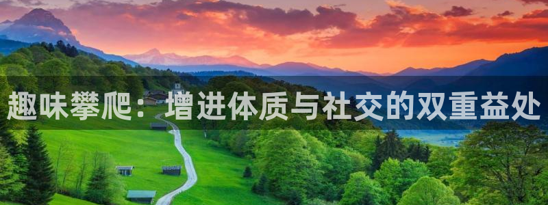 熊猫体育官网：趣味攀爬：增进体质与社交的双重益处