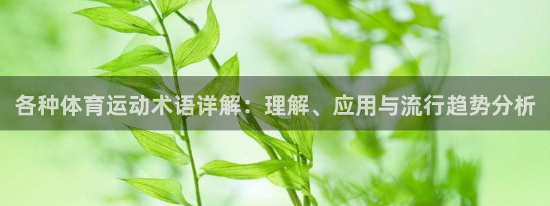 熊猫体育公园：各种体育运动术语详解：理解、应用与流行趋势分析