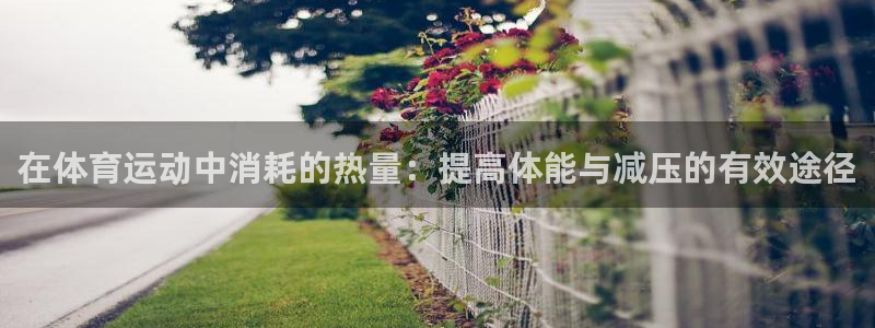 成都金熊猫体育：在体育运动中消耗的热量：提高体能与减压的有效途径