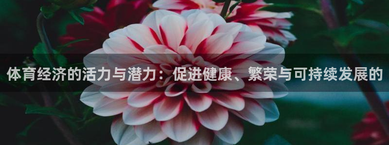 熊猫体育app官网入口：体育经济的活力与潜力：促进健康、繁荣与可持续发展的