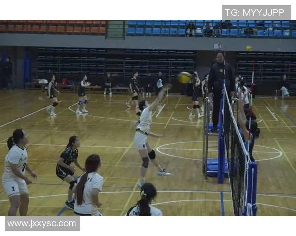 重庆排球队的精神探索与排球文化传承之旅