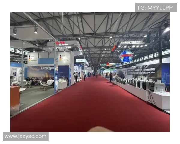 上海乒乓球队转型之路探索新机遇与挑战的特别报道