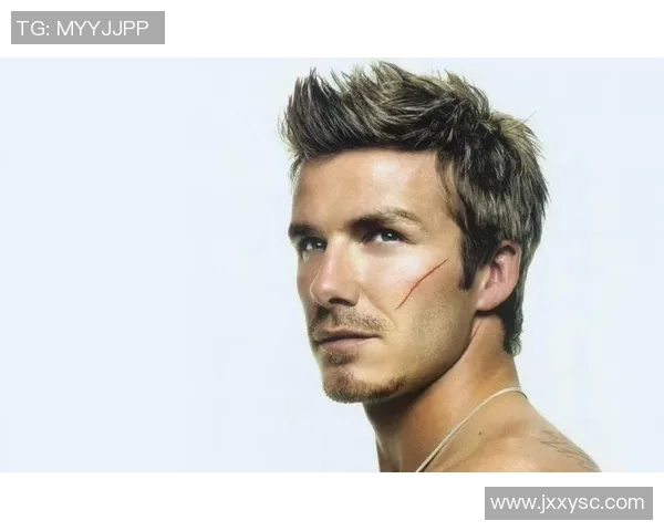 17号足球明星全解析他们的辉煌成就与传奇故事尽在其中